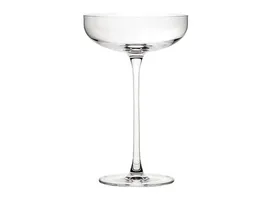 SAVAGE COUP COCKTAIL ČAŠA 6 KOMADA