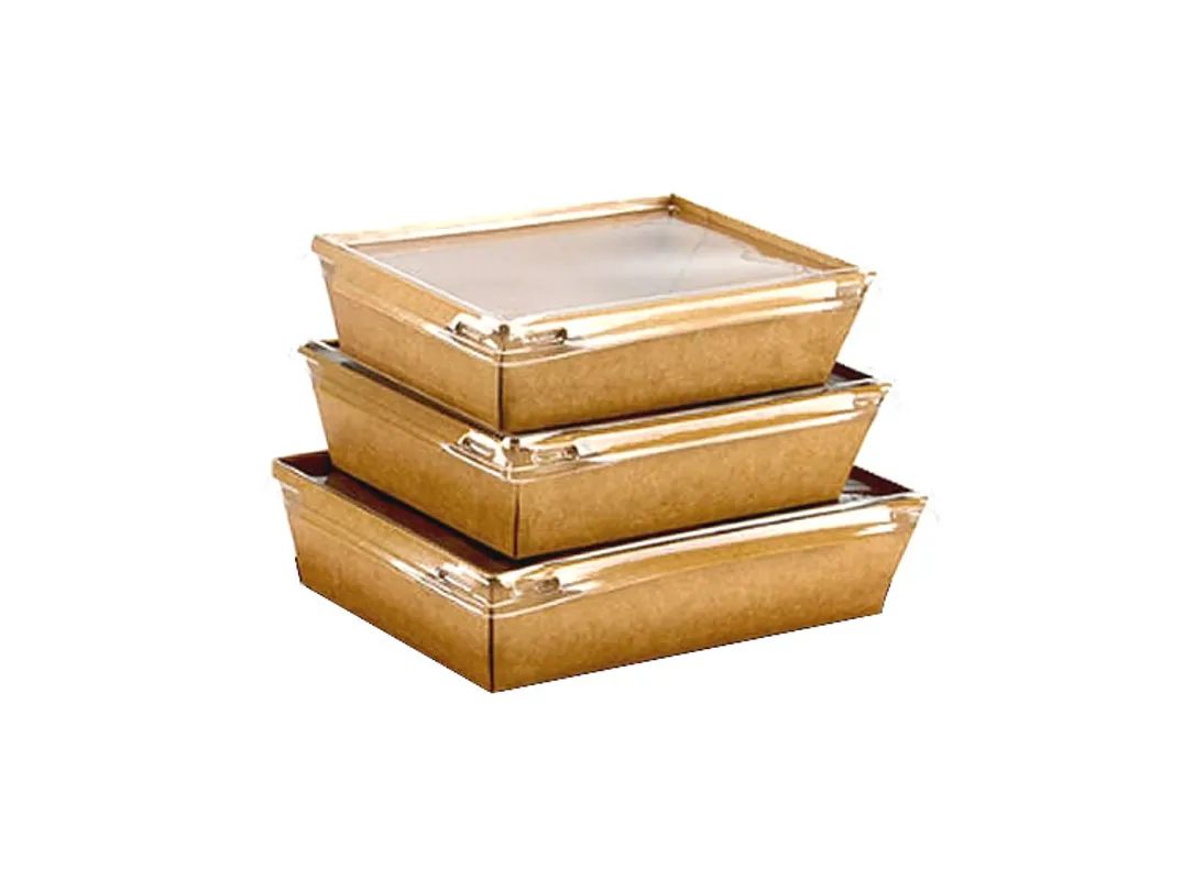 POSUDA SUSHI KRAFT S PROZIRNIM POKLOPCEM 22х16х6 cm  50 komada