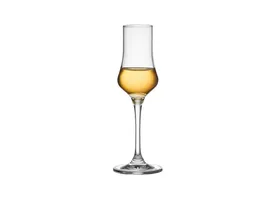 ČAŠA GRAPPA RONA 110ML 12 KOMADA